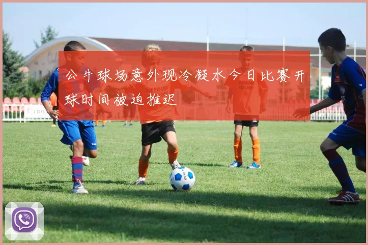 公牛球场意外现冷凝水今日比赛开球时间被迫推迟