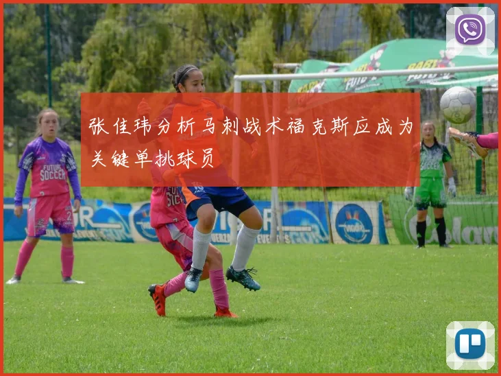 张佳玮分析马刺战术福克斯应成为关键单挑球员