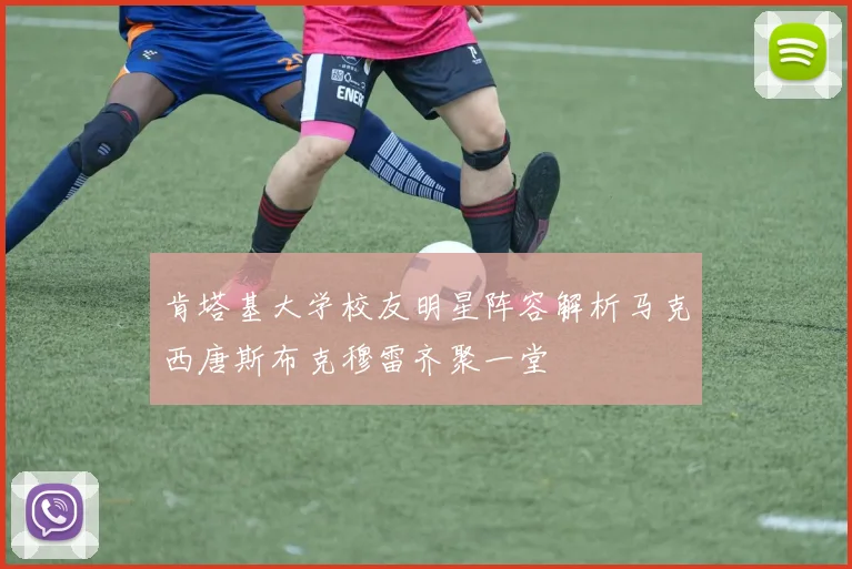 肯塔基大学校友明星阵容解析马克西唐斯布克穆雷齐聚一堂